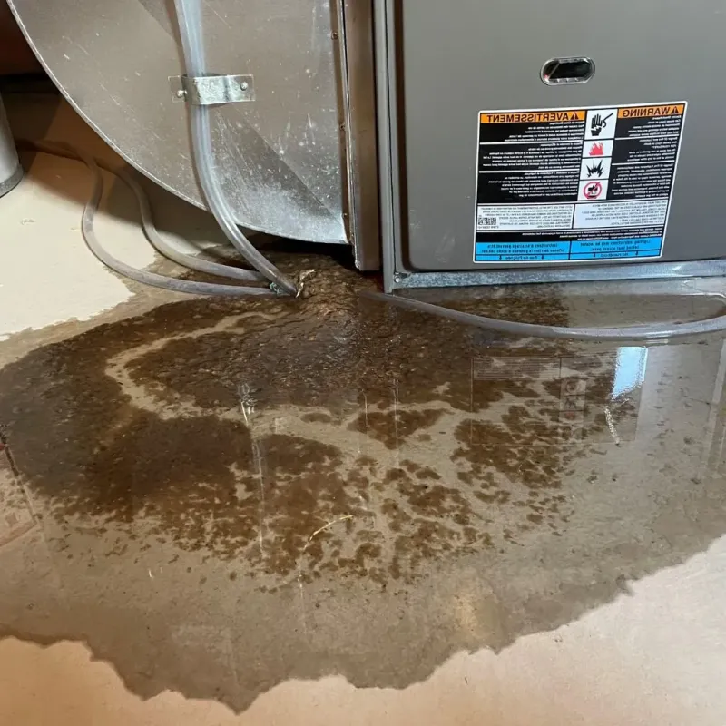 Pipe Burst and Leak Restoration in Greenville, MS